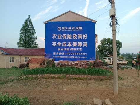 贡山墙体广告的优劣势你知道吗？