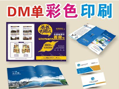 贡山单页印刷，色彩搭配简单。
